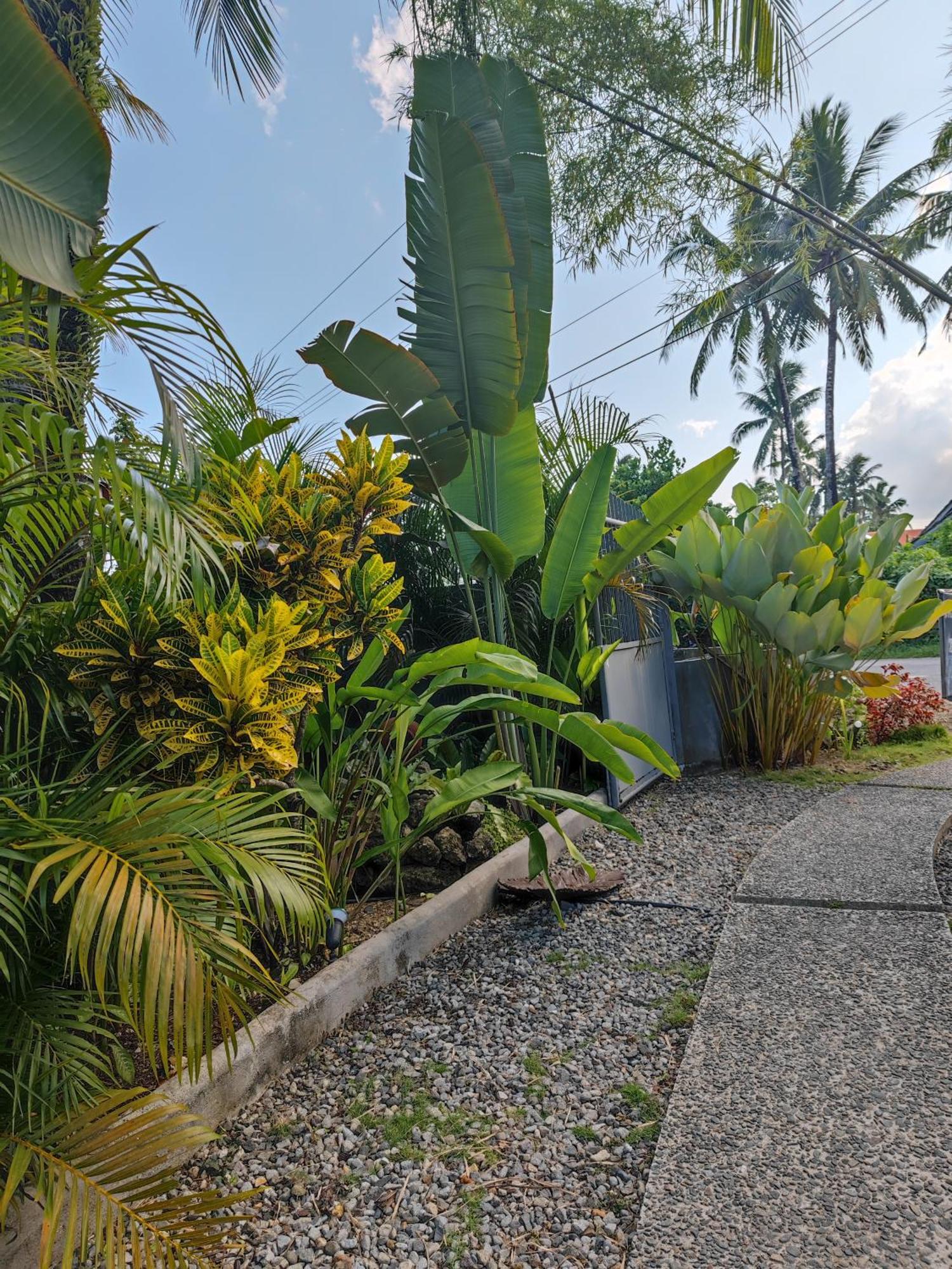Daluyong Beach Resort General Luna  Bagian luar foto