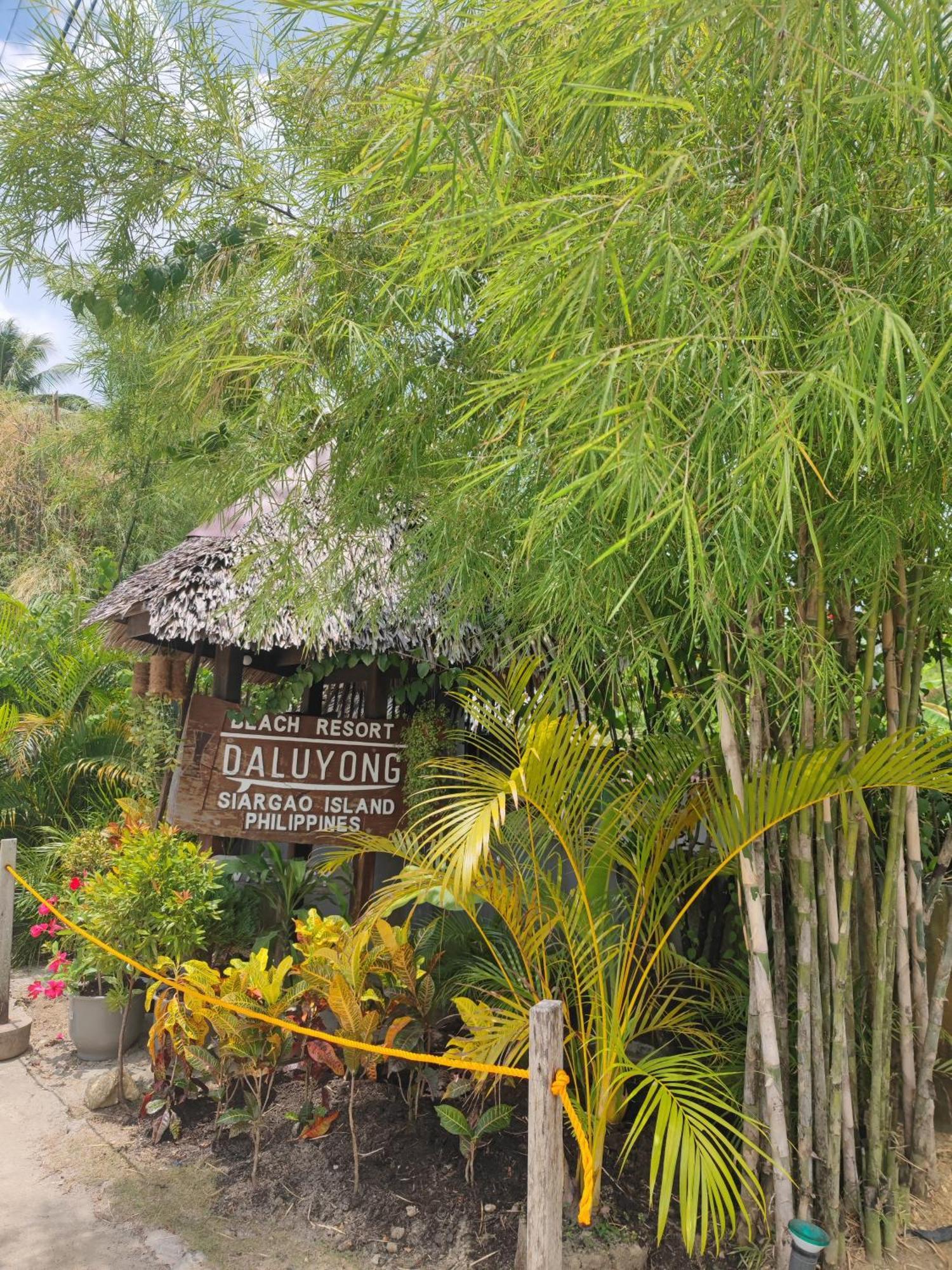 Daluyong Beach Resort General Luna  Bagian luar foto